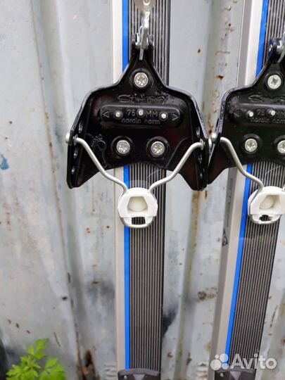 Лыжи беговые