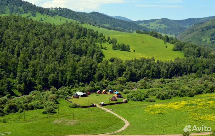 VIP-тур на Алтай 7 дней