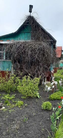 Участок 8,7 сот. (СНТ, ДНП)