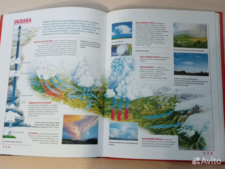 Детская энциклопедия