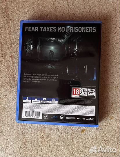 The callisto protocol