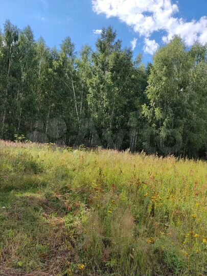 Участок 38 сот. (ИЖС)