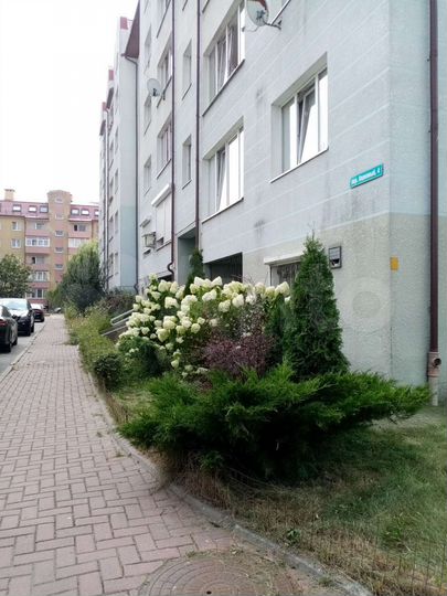 3-к. квартира, 92 м², 4/5 эт.