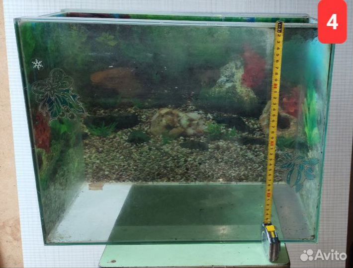 Аквариум аквариумы
