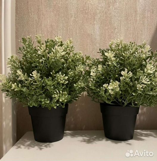 Фейка IKEA искусственное растение Новые