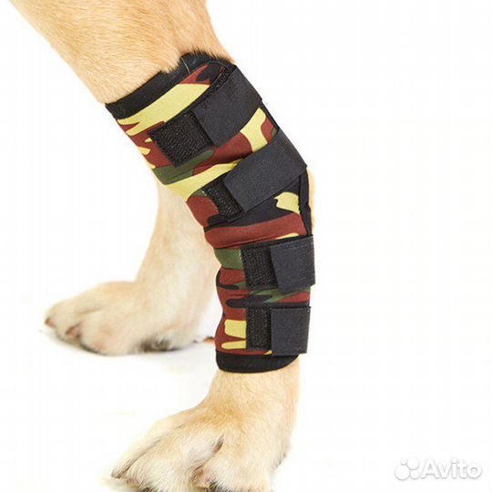 Бандаж для собак