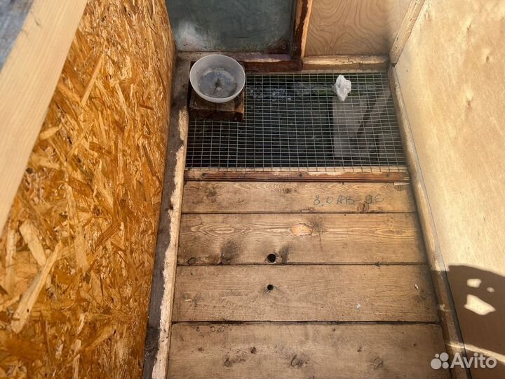 Клетки для кролика