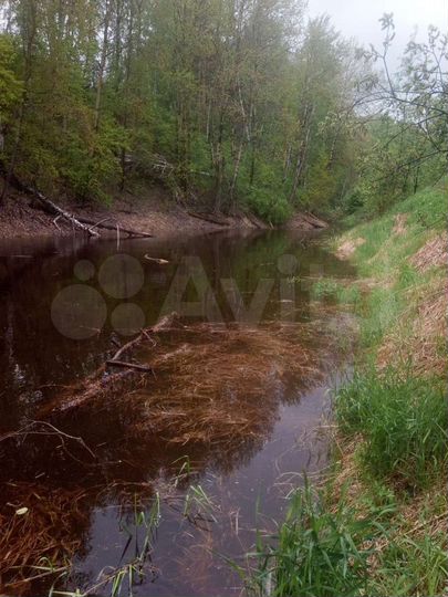 Участок 8,5 сот. (ИЖС)