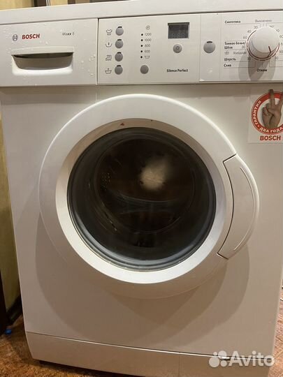 Стиральная машина bosch maxx 5 бу