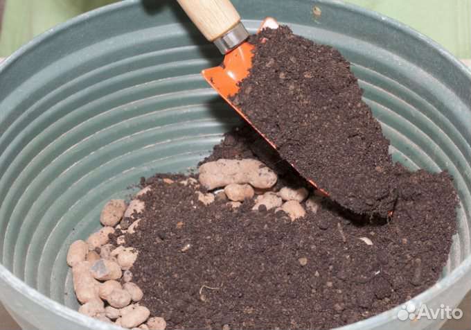 Дренаж для цветов керамзитовый