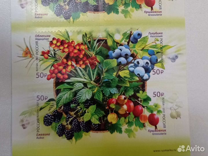 Марка Россия 2022 г. Почтовый блок Флора России