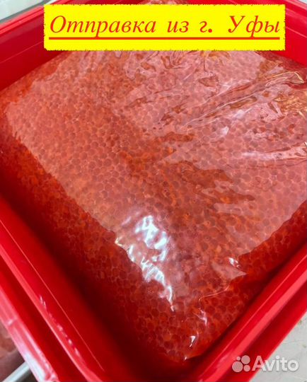 Икра красная