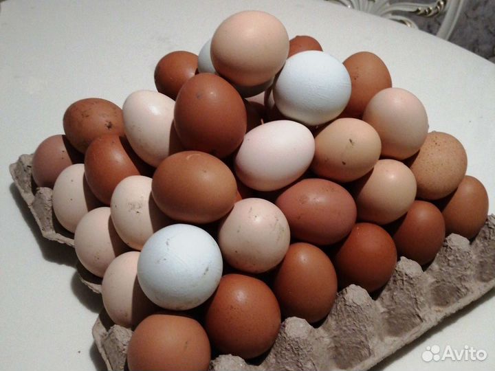 Домашние куриные яйца с доставкой