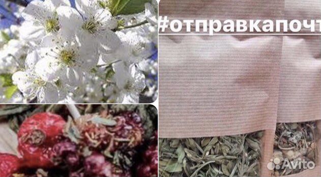 Витаминный Сбор «Ягодный лес» с Вишней/Лесн ягодам