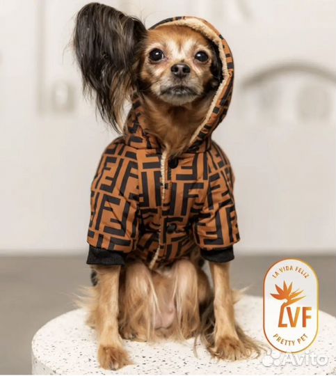 Одежда для собак
