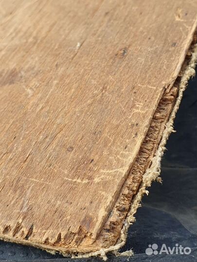 Натюрморт масло 