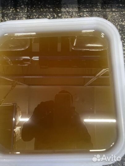 Свежий мёд цветочный опт