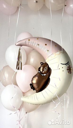 Шары на выписку из роддома Воронеж