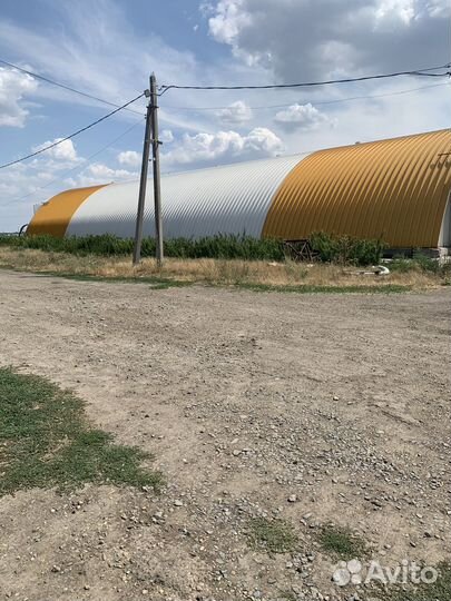 Продажа фермы