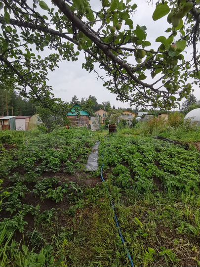 Дача 12 м² на участке 4 сот.