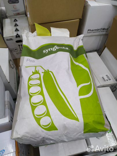 Горох Преладо 100000 семян