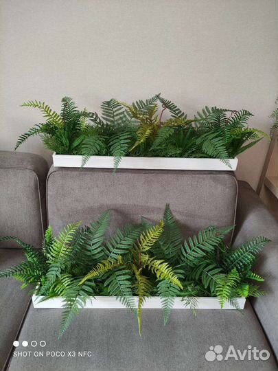 Искусственная зелень, озеленение интерьера