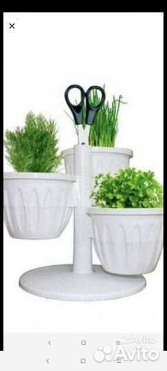 Много растений