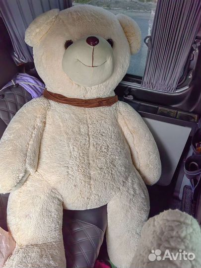 Плюшевый медведь
