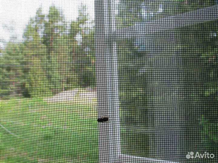 Москитная сетка Мур-мяу RAL7810