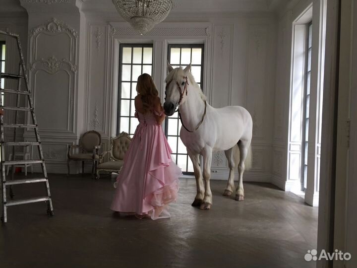 Фотосъёмка животных мероприятия