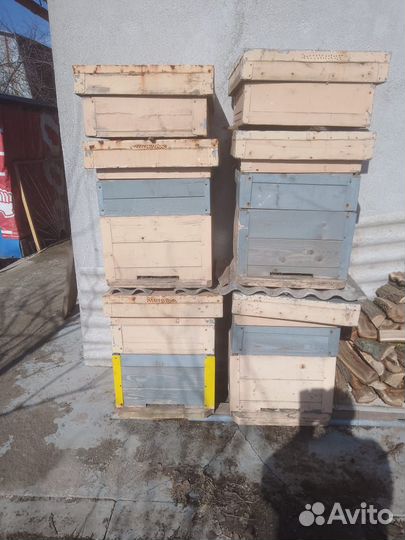 Ульи для пчел