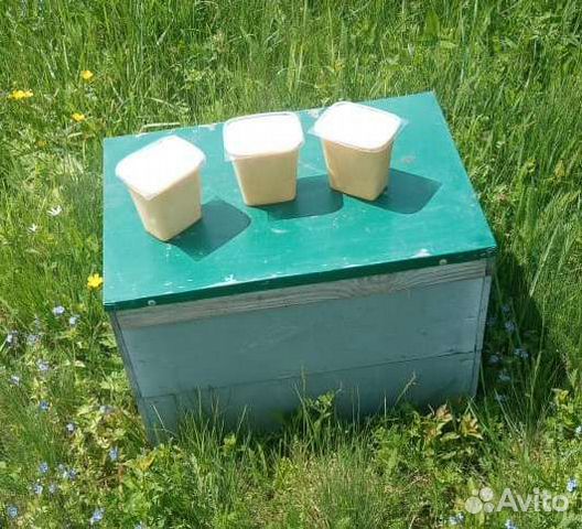 Трутневый гомогенат (чистый)