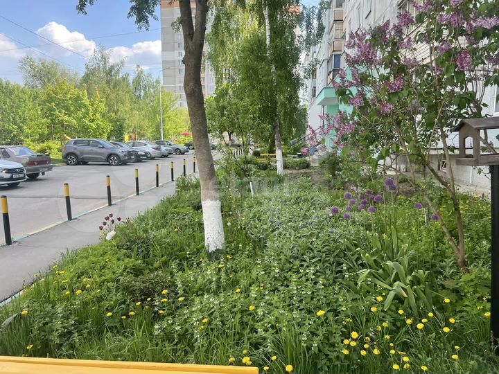 2-к. квартира, 55,1 м², 2/5 эт.