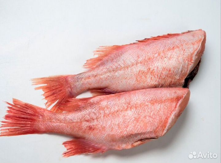 Окунь Морской 300-500. Бесплатная доставка