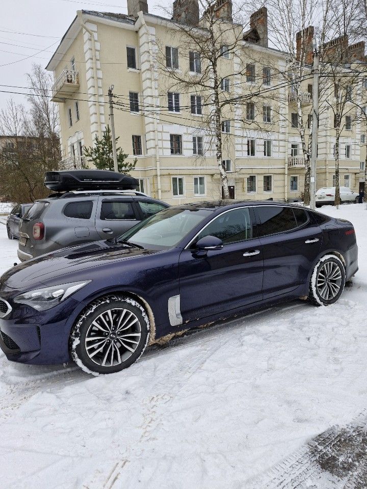 Kia Stinger: фото владельца