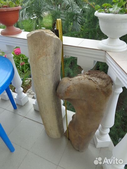 Берцовая кость мамонта