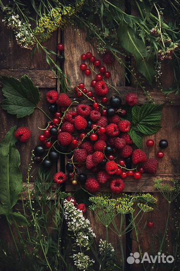 Таролог консультации расклады и обучение