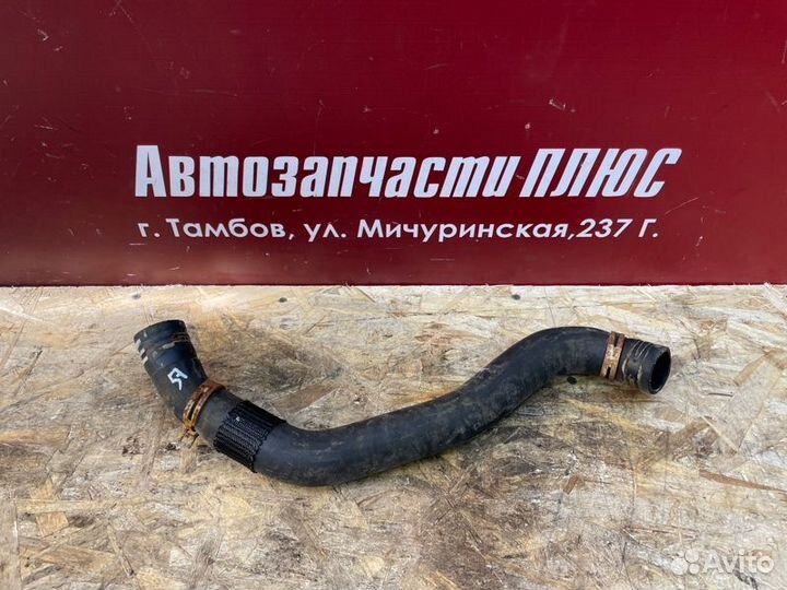 Патрубок радиатора Renault Sandero Stepway