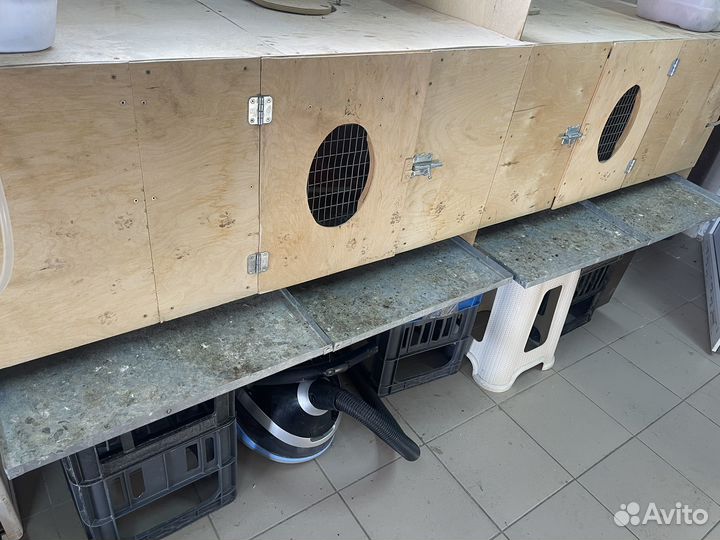 Продается брудер б/у