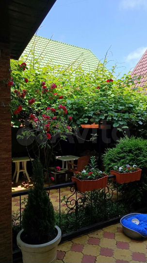 Комната 16 м², 1/4 эт.