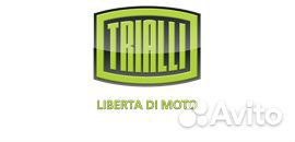 Trialli DF-128 Диск торм. для а/м Haval Jolion (21) (4WD) перед. d320 (окраш.) (DF 128)