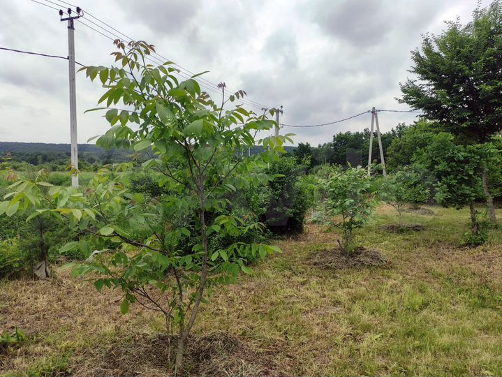 Дом 77 м² на участке 1,1 га