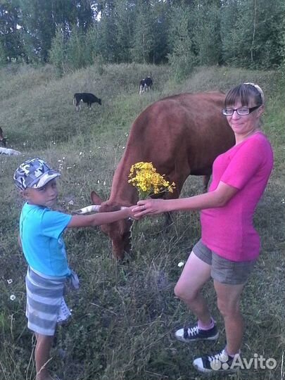 Творог, Домашняя деревенская молочная продукция
