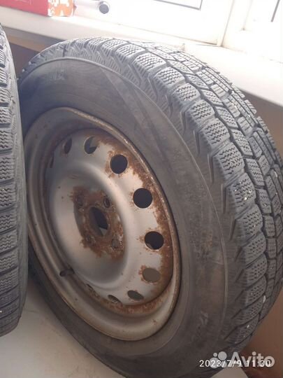 Viatti Brina 175/65 R14
