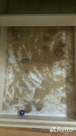 Чистка шуб в откатном барабане с опилками