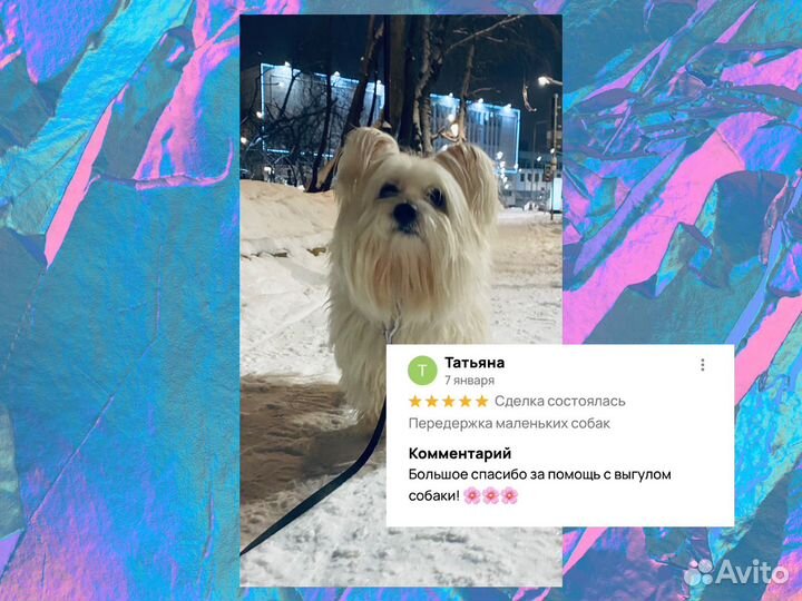 Выгул собак