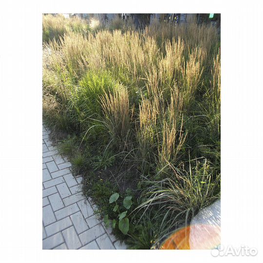 Цифровой фотоаппарат Olympus mju 750