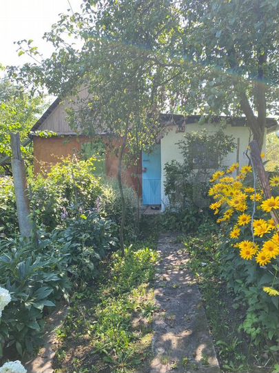 Дача 29 м² на участке 6 сот.