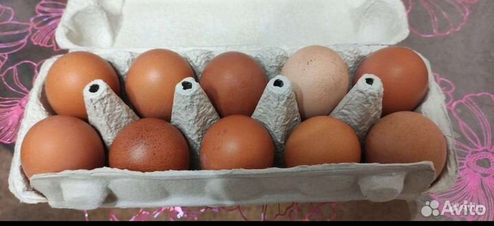 Огурцы, помидоры, кабачки, яйцо куриное