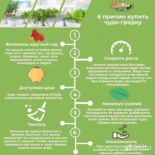 Чудо-грядка Здоровья клад